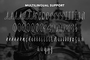 LoyaltyProgram - Calligraphy Font, a Symbol Font by AQR Studio (Thumbnail 3 of 9)