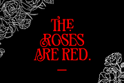 Shigat Serif, a Serif Font by Grontype (Thumbnail 3 of 10)