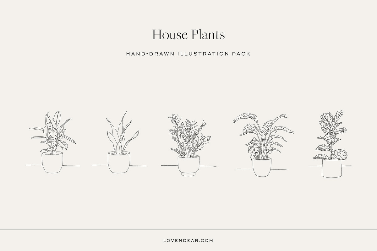 House Plant-Vector Illustration Pack, an Illustration by Lovendear Design (Photo 1 of 9)