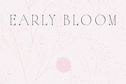 Botanical Background Collection, a Background Graphic by Anna Sokol (Thumbnail 11 of 14)