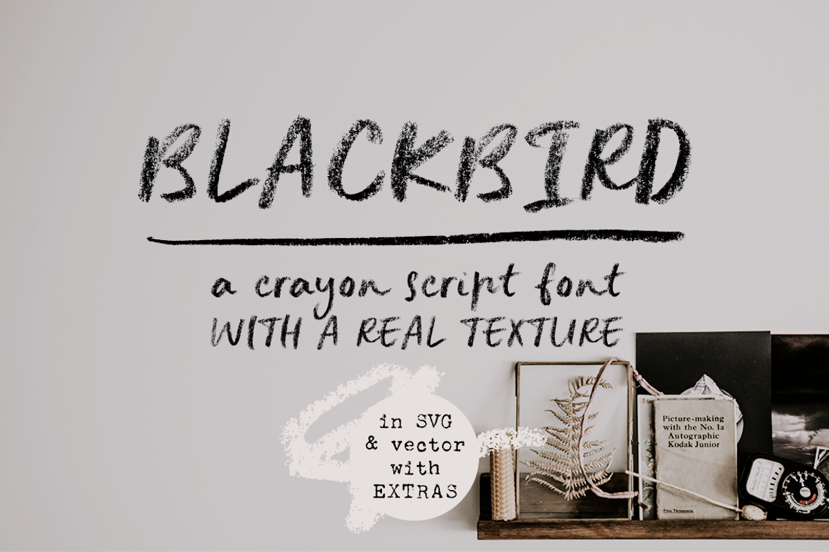 Blackbird crayon script SVG font, a Script Font by Ana's Fonts (Photo 1 of 9)