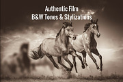 B&W Lightroom Presets Bundle, an Action Add-On by Lightroom Preset Shoppe (Thumbnail 3 of 5)