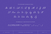 Wonderful Calligraphy, a Handwritten Font by RockboyStd (Thumbnail 11 of 12)