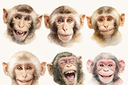 Funny Monkey Faces Clipart Set, an Animal Illustration by Design Scotch (Thumbnail 2 of 8)