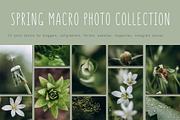 Spring macro collection, a Nature Photo by akovtun (Thumbnail 1 of 7)