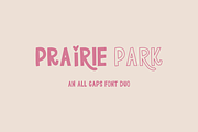 Prairie Park Sans Duo, a Handwritten Font by Beck McCormick (Thumbnail 1 of 10)