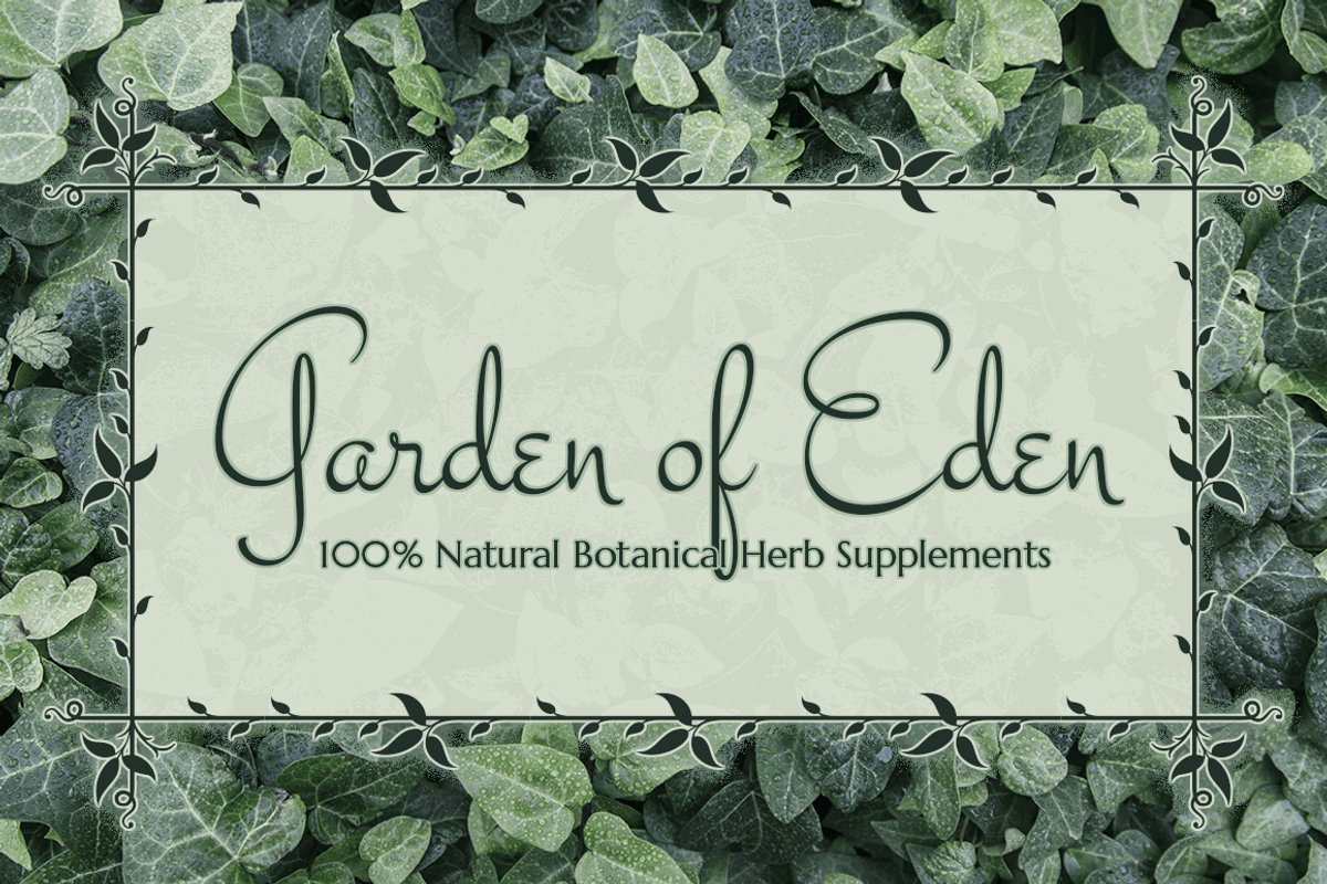 MFC Botanical Borders preview 4