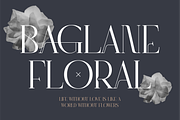 Ragyola A Display Serif Font, a Serif Font by Storytype Studio (Thumbnail 2 of 15)