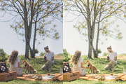 10 COTTAGE CORE LIGHTROOM PRESETS, an Action Add-On by Emma Kate Creative (Thumbnail 6 of 10)