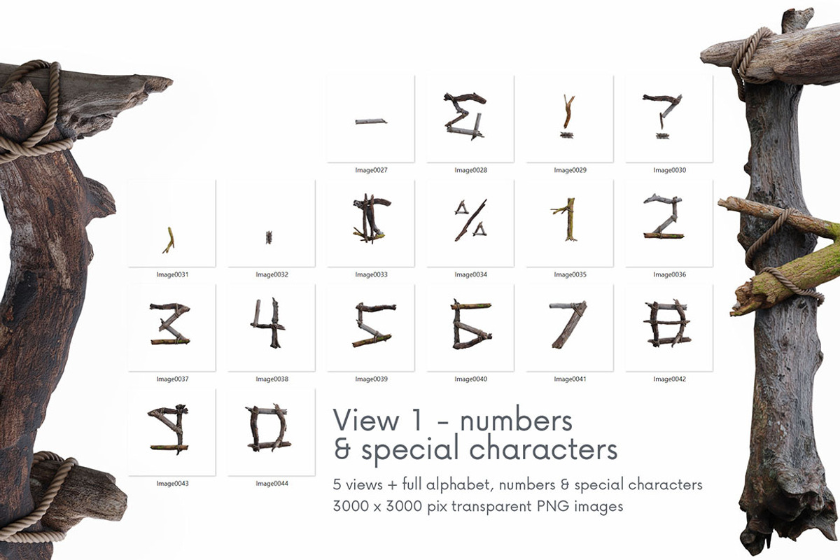 Wild Forest - 3D Lettering, an Object Graphic by MIIM (Photo 7 of 7)