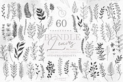 Leaf Branch Border Svg Bundle 013, an Illustration by Drawberx (Thumbnail 1 of 8)
