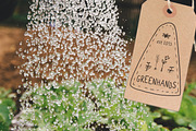 Greenfarm Rustic Font Logos Doodles, a Sans Serif Font by LABFcreations (Thumbnail 8 of 17)