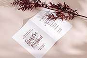 Romalise - Vintage Handwritten Font, a Handwritten Font by TypeClassHeroes (Thumbnail 5 of 10)