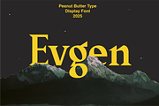 Evgen | Beauty and Strong Serif Font, a Font by PeanutButter Type (Thumbnail 1 of 13)