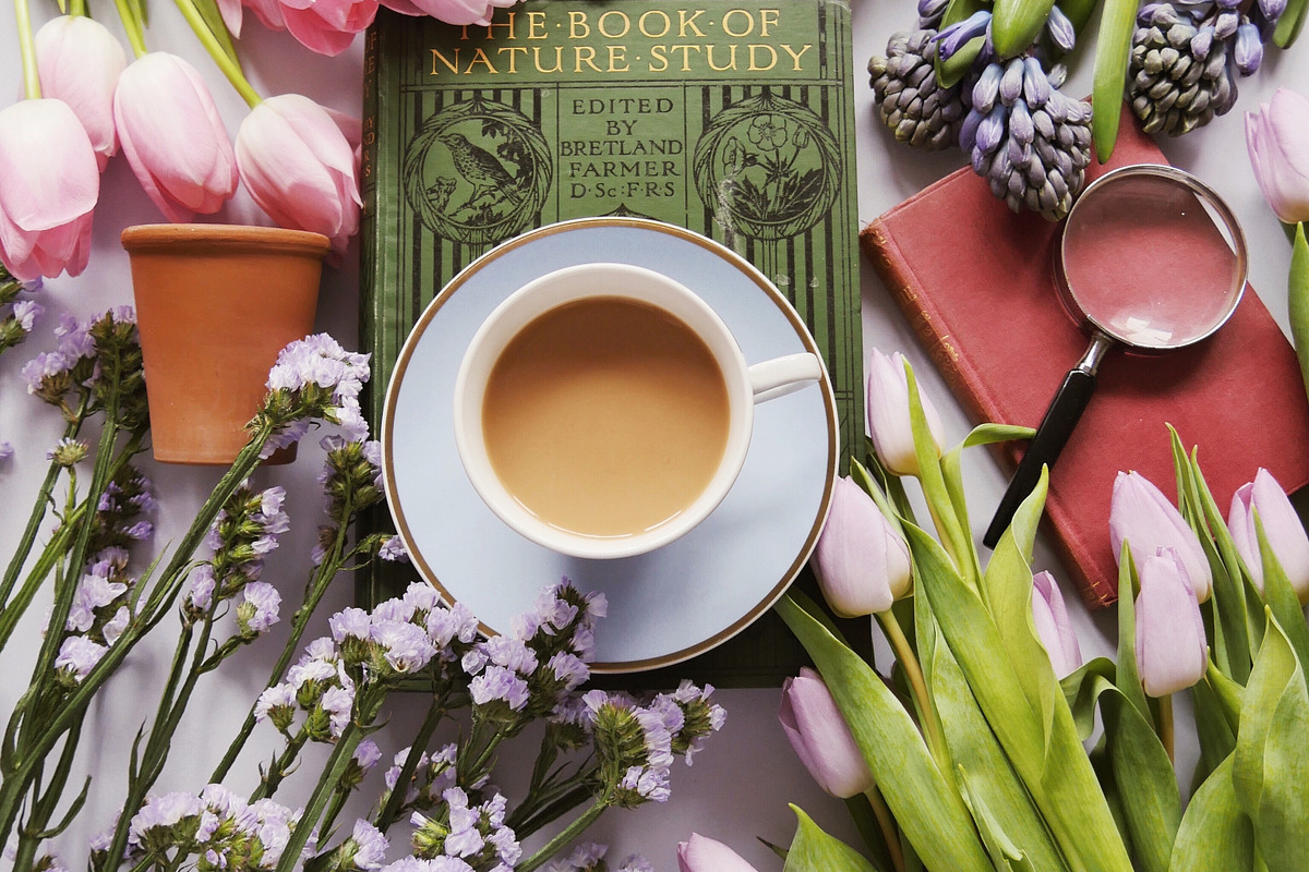 Garden Finds Flatlay Photo Bundle, a Photo by The Floral Healer (Photo 3 of 8)