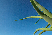 Subtle Paper Overlays Collection, a Texture Graphic by Design Squad (Thumbnail 9 of 15)