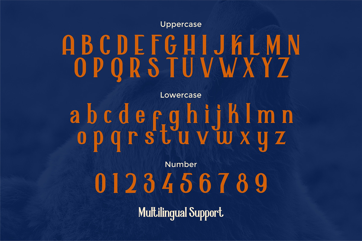 Alaska Typeface preview 2