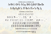 Sunflower | Script Font, a Handwritten Font by Scratchones (Thumbnail 7 of 8)