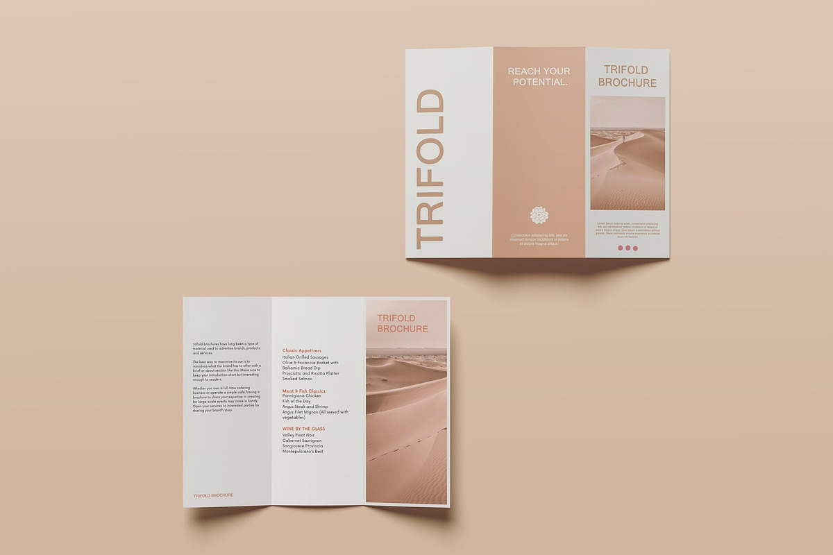Trifold Brochure Mockup, a Books & Magazine Mockup by Lxadesign (Photo 2 of 18)