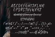 Bookshelf Infinites, a Handwritten Font by Integritype Studio (Thumbnail 5 of 14)