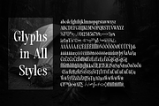 Evolve Early Serif Font Family, a Serif Font by groens (Thumbnail 5 of 15)