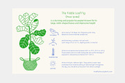 Plant Lady - aesthetic line art, a Person Illustration by Annakniaz (Thumbnail 16 of 17)