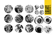 Big set of tree rings background., a Texture Graphic by Vector photo shop (Thumbnail 1 of 4)