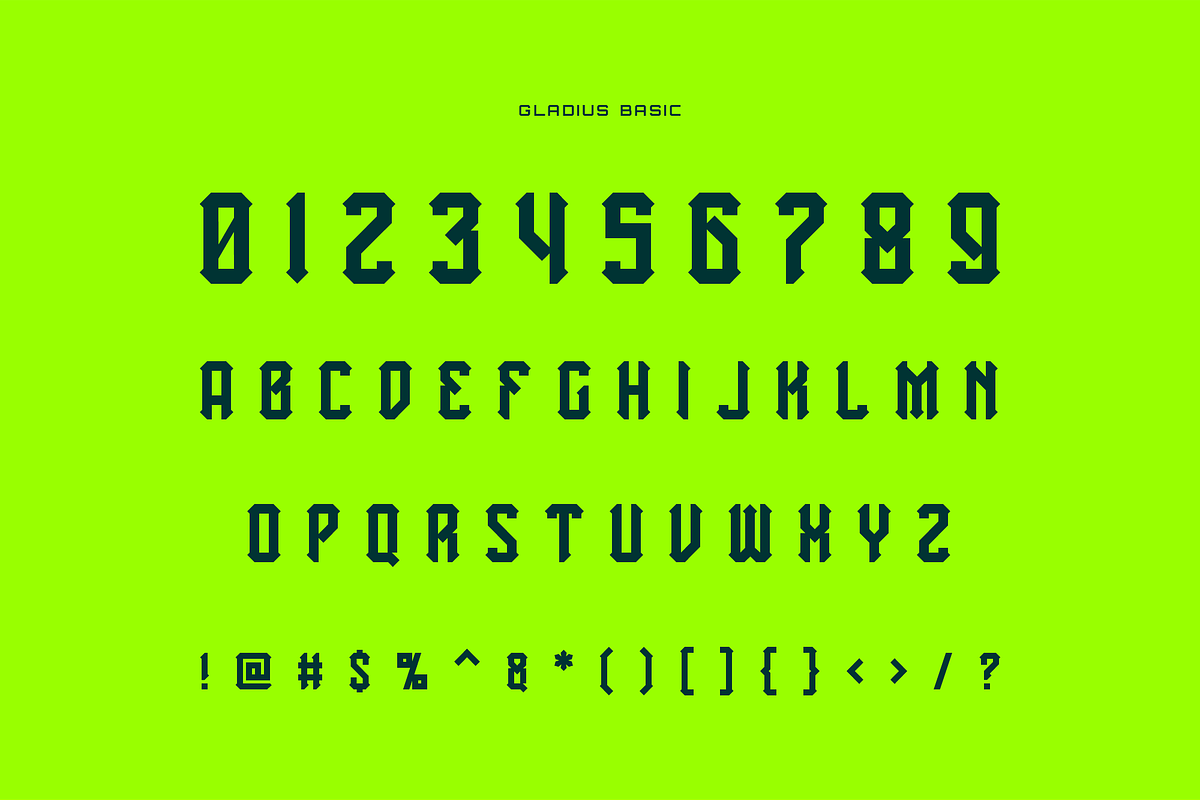 Gladius, a Serif Font by KURO (Photo 2 of 4)