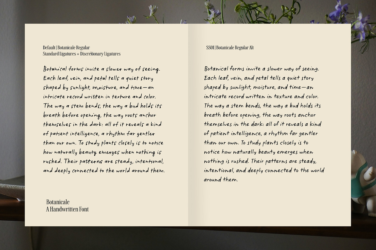 Botanicale | Handwritten Font, a Handwritten Font by type peace (Photo 7 of 18)