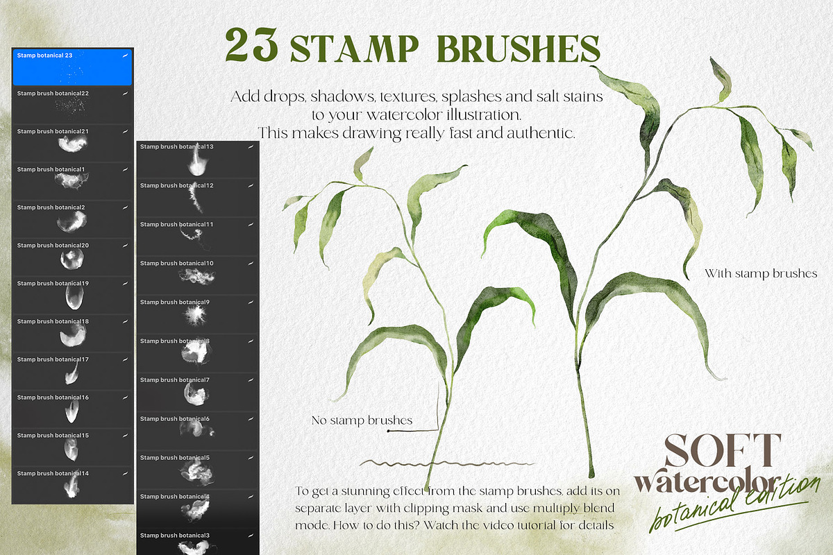 Watercolor Procreate brushes Botany, a Brush Add-On by Yuliya Derbisheva (Photo 5 of 13)