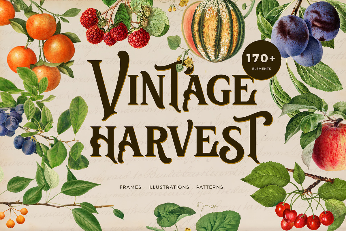Vintage harvest fruits collection, a Pattern Graphic by Beauty Drops (Photo 1 of 9)