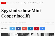 Featured WordPress Theme, a WordPress Template by Theme Junkie (Thumbnail 4 of 4)