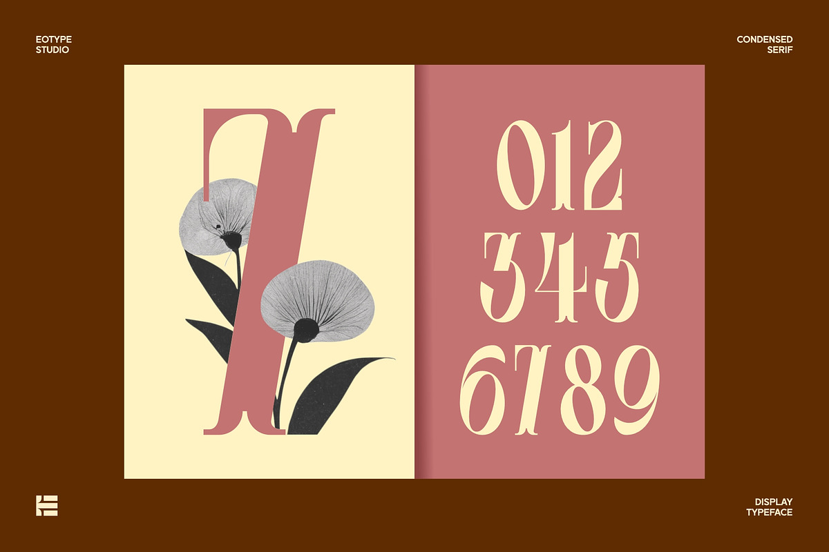 Leonice - Display Font, a Font by Eotype Studio (Photo 8 of 12)