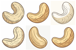 Delicious cashews in various styles, an Object Graphic by Billah Hub