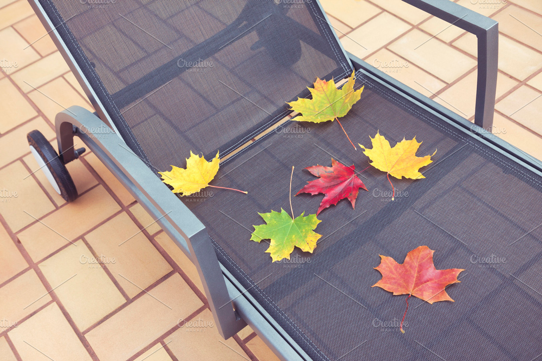 Deckchair at autumn, a Nature Photo by BOOCYS