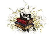 Skull, an Object Graphic by ArtOwl (Thumbnail 8 of 10)