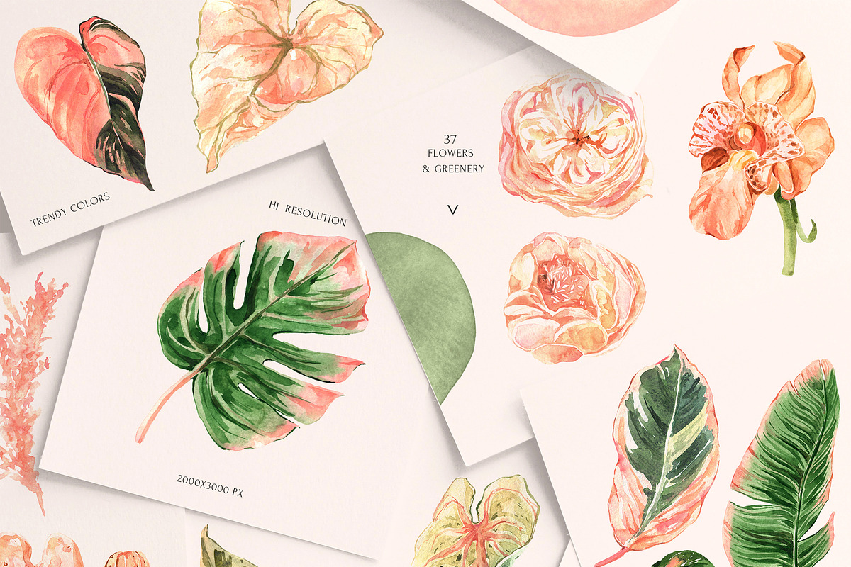 Peach Aesthetics Tropical Summer, an Illustration by Cat In Colour (Photo 5 of 10)