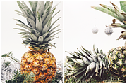 The Festive Pineapples Collection, a Holiday Photo by Pineapple Shop (Thumbnail 4 of 5)