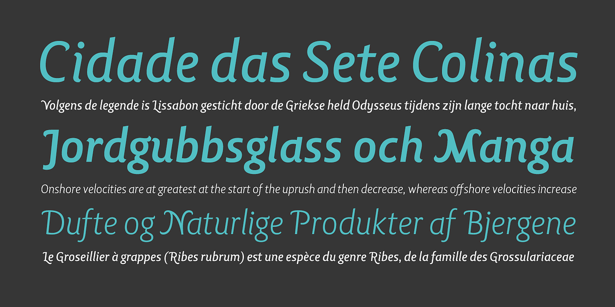 Lisboa Swash, a Sans Serif Font by Vanarchiv (Photo 2 of 4)