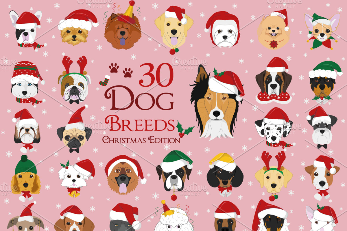 Christmas 30x Dog Breeds, an Animal Illustration by asantosg (Photo 1 of 7)