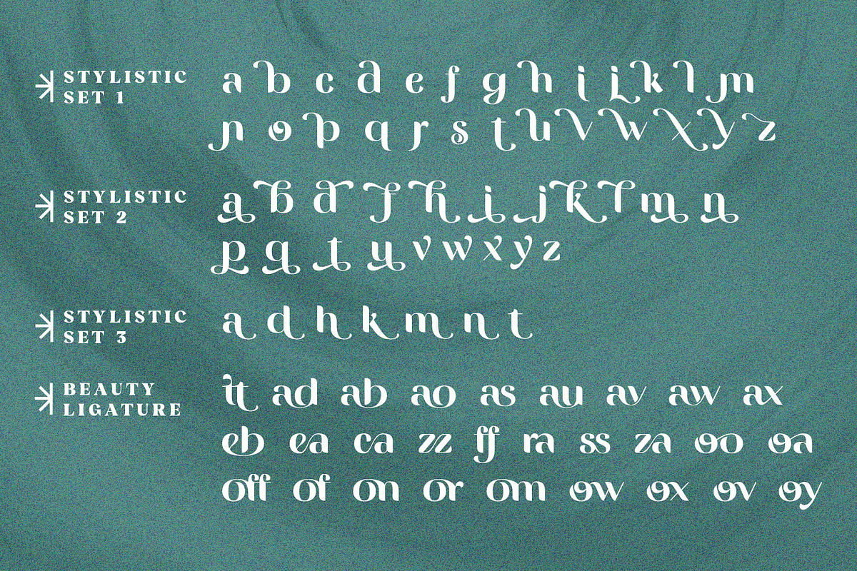 Vittasoa – Modern Display Typeface, a Serif Font by Almarkhatype (Photo 10 of 15)