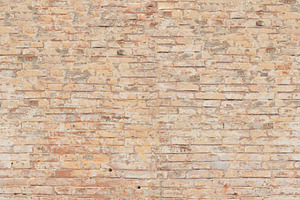 Light brick the texture of the containing brick, wall, and white