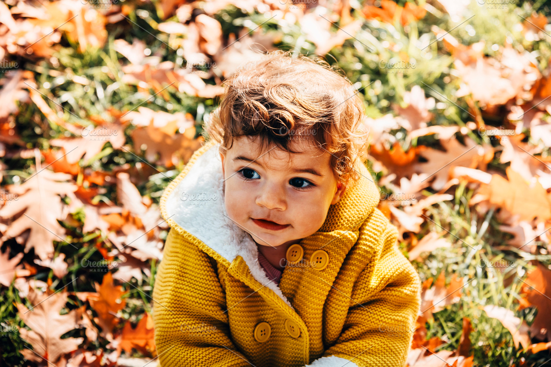 Happy little girl play autumn leaves, a Person Photo by hitdelight