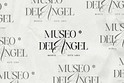 Hazel Shore - Serif & Script Duo, a Serif Font by SilverStag Type Foundry (Thumbnail 19 of 30)
