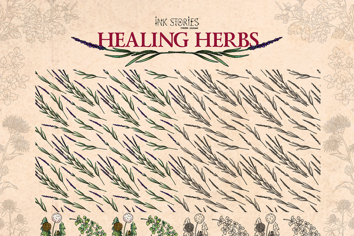 Healing Herbs * Botanical Bundle, a Healthcare Illustration by Ink Stories (Photo 5 of 13)