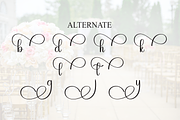 Wedding | Script Font, a Handwritten Font by Scratchones (Thumbnail 8 of 9)