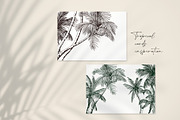 Tropical palm sketch, a Decorative Illustration by Jeanna Draw (Thumbnail 3 of 7)