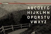 Dever, a Slab Serif Font by insigne (Thumbnail 4 of 7)