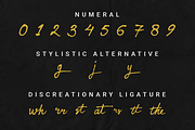 Sympathic, a Script Font by Letterature Std. (Thumbnail 4 of 10)
