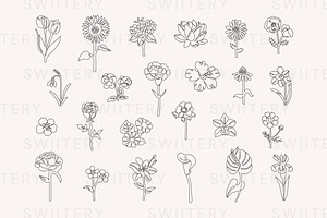 Flower Line Art - Swiitery